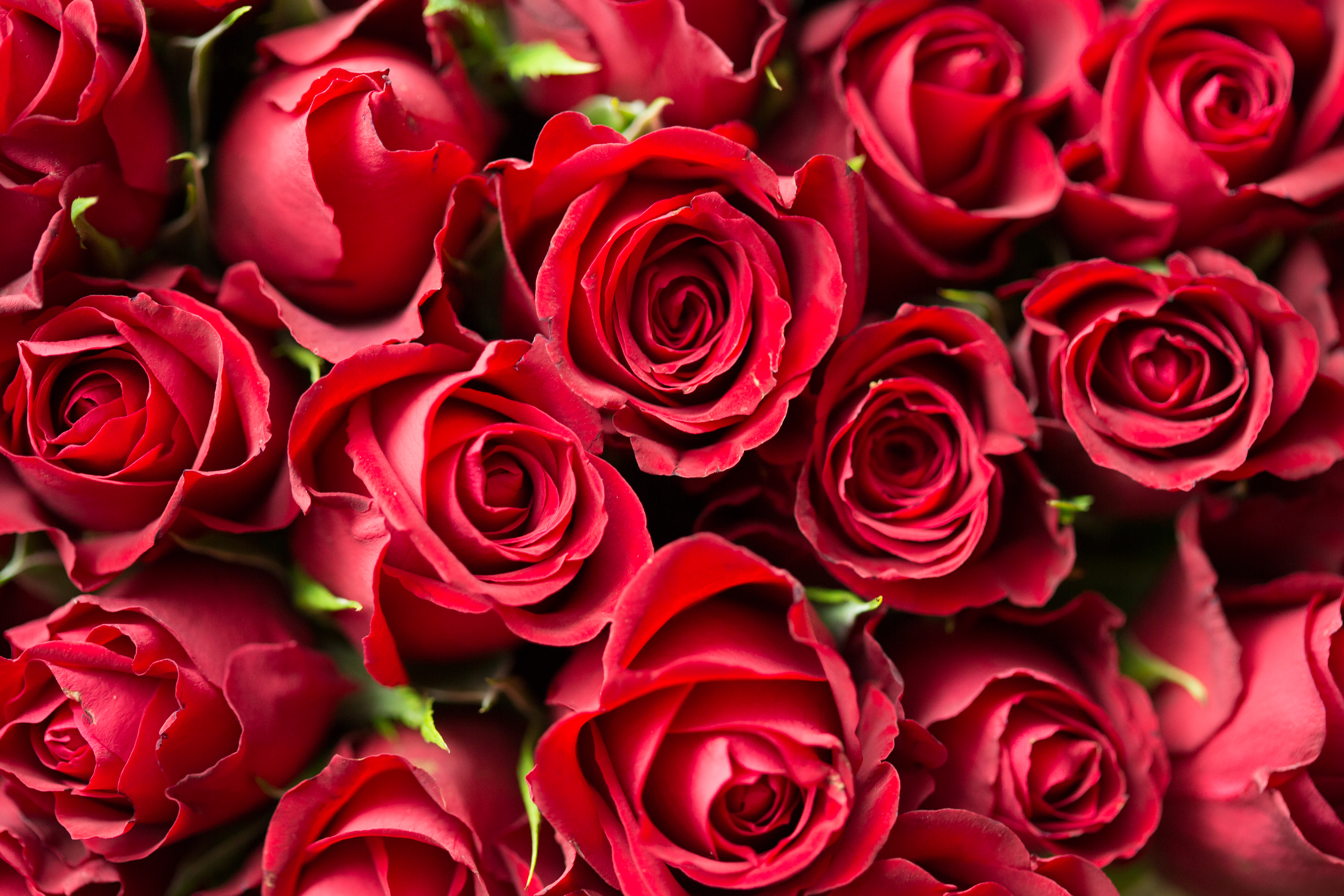 Romantic Packages