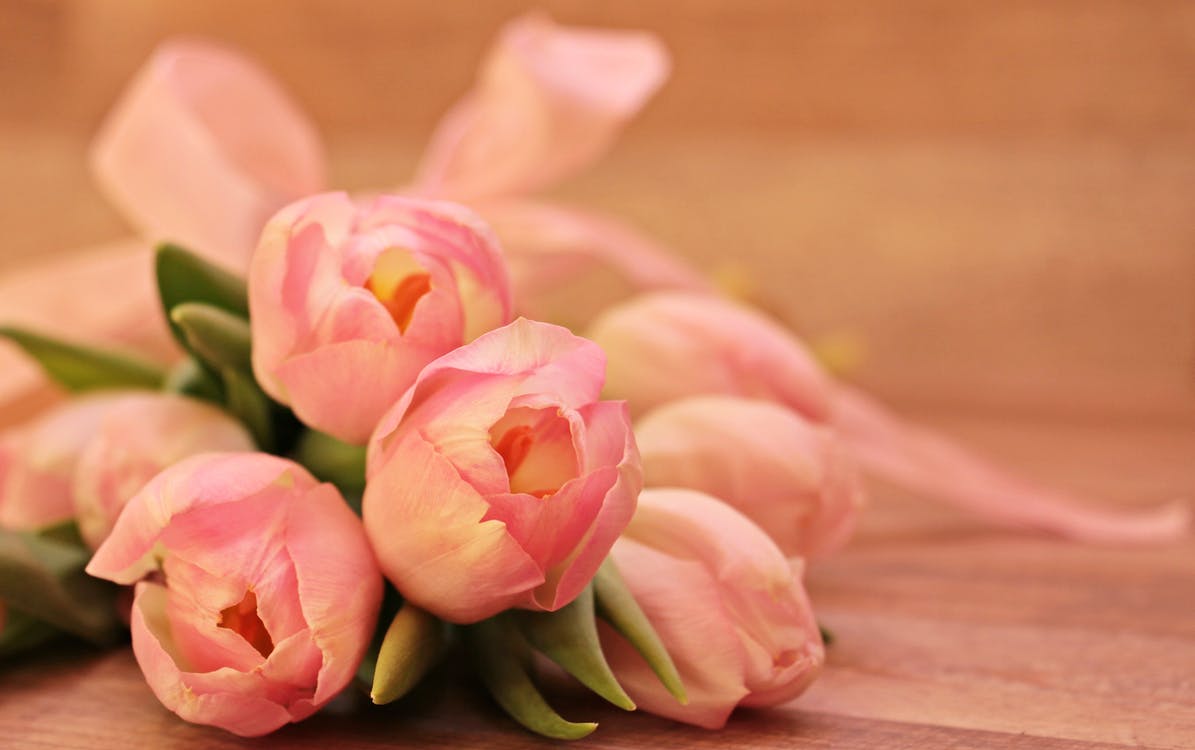 Flower Bouquets