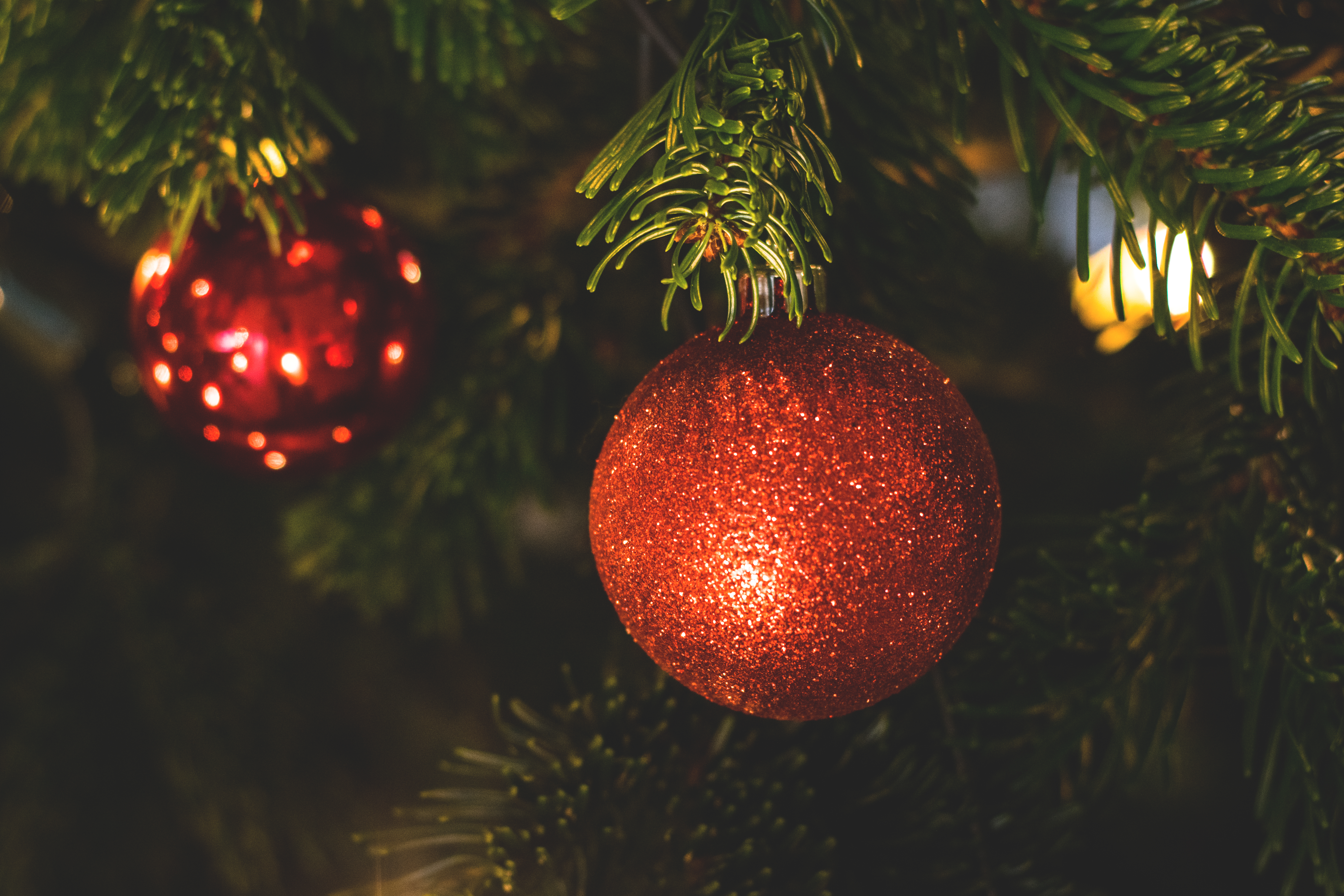 Fully Decorated Christmas Tree