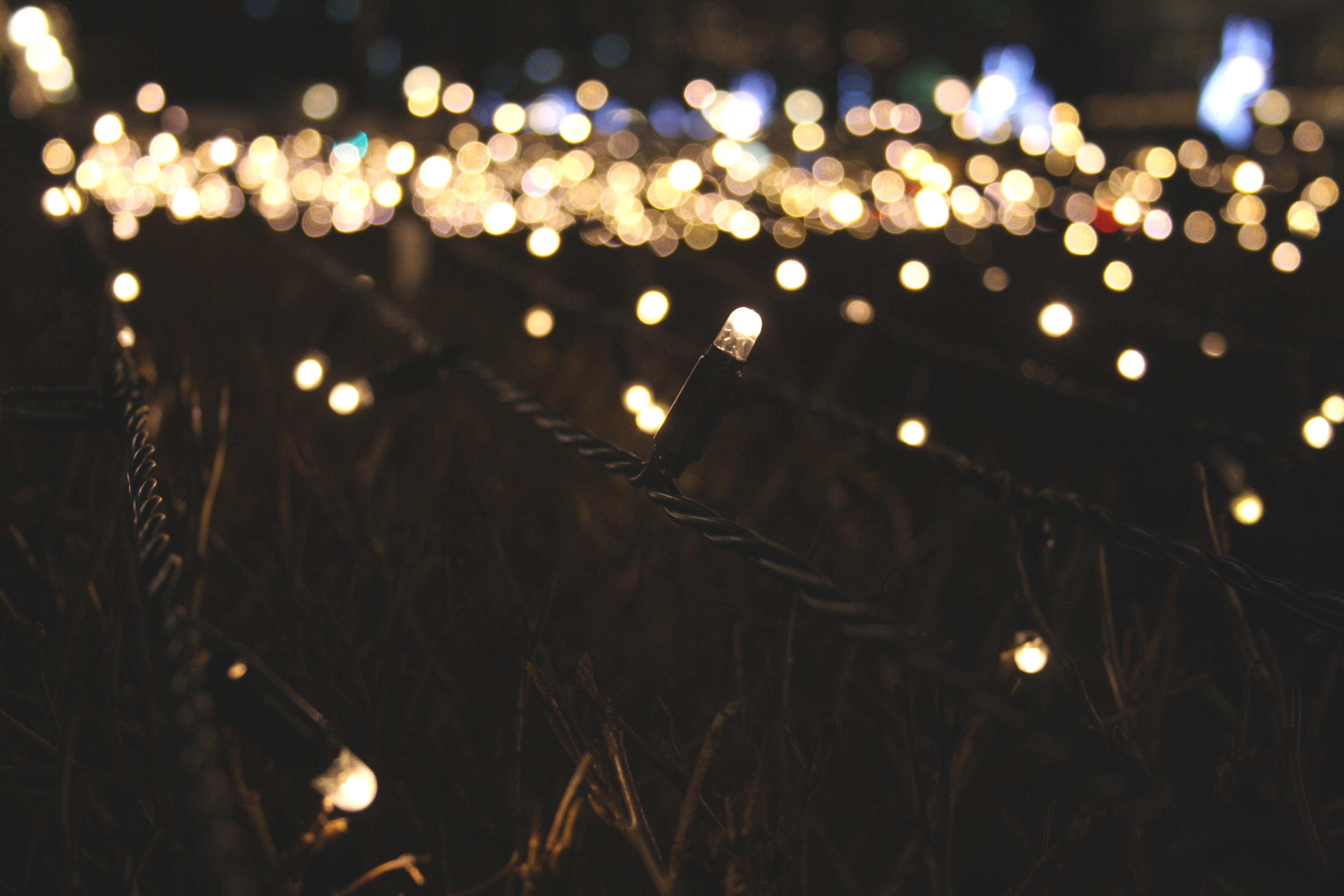 200 Clear Fairy Lights