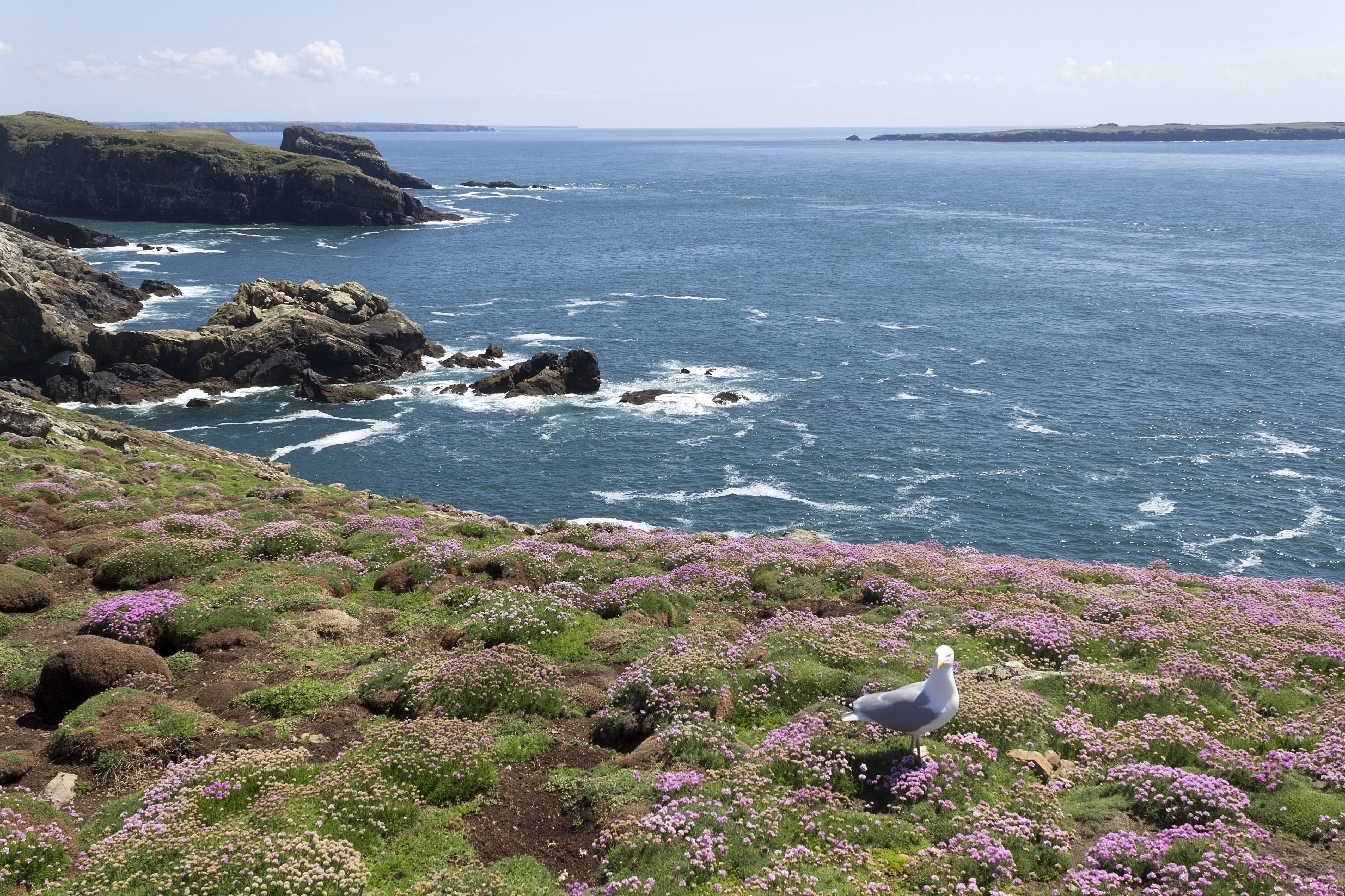 Stay in the Pembrokeshire Coast National Park in one of our beautiful holiday cottages.