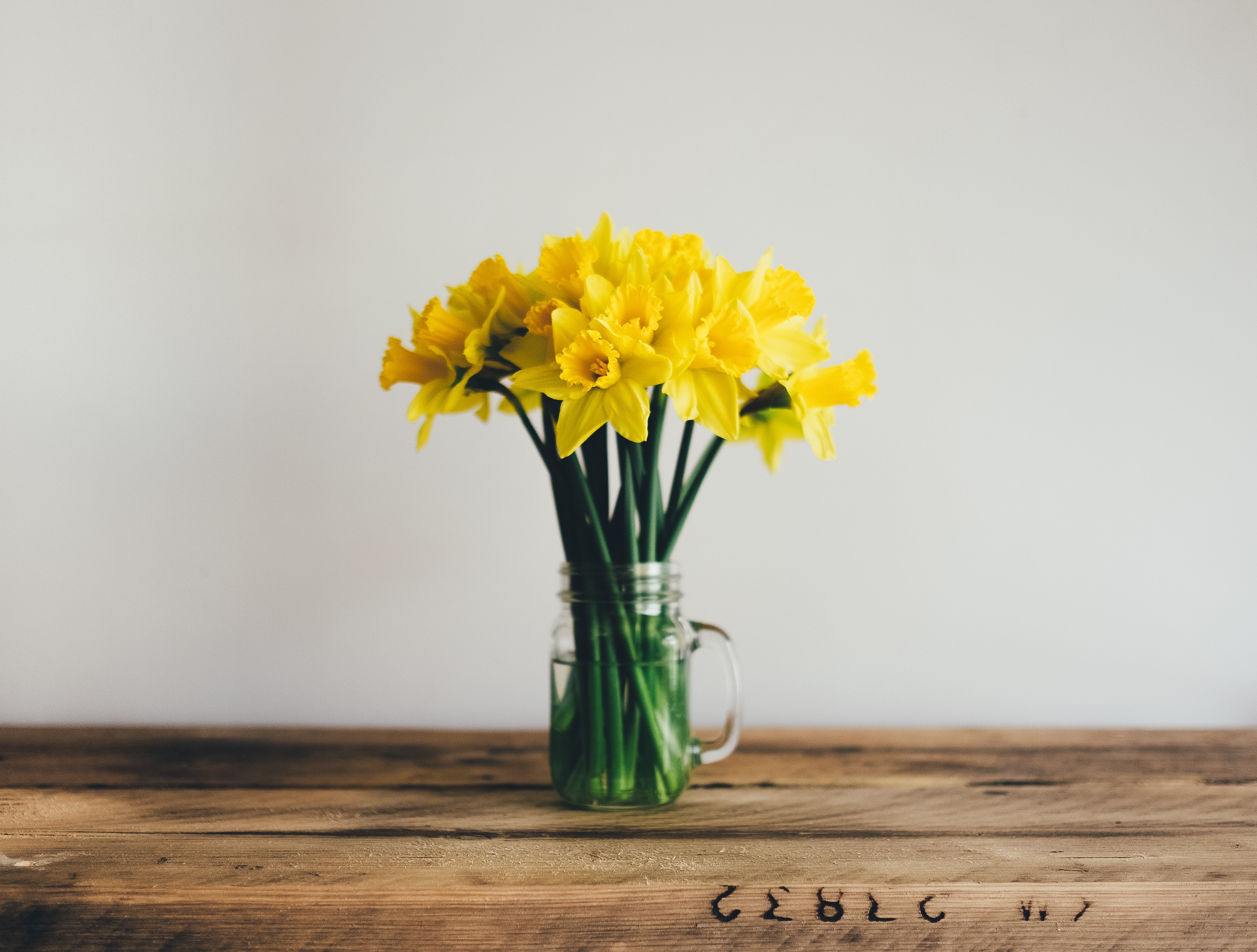 St Davids Day Breaks