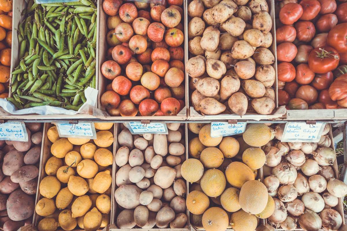Fresh Vegetables in Pembrokeshire, Wales