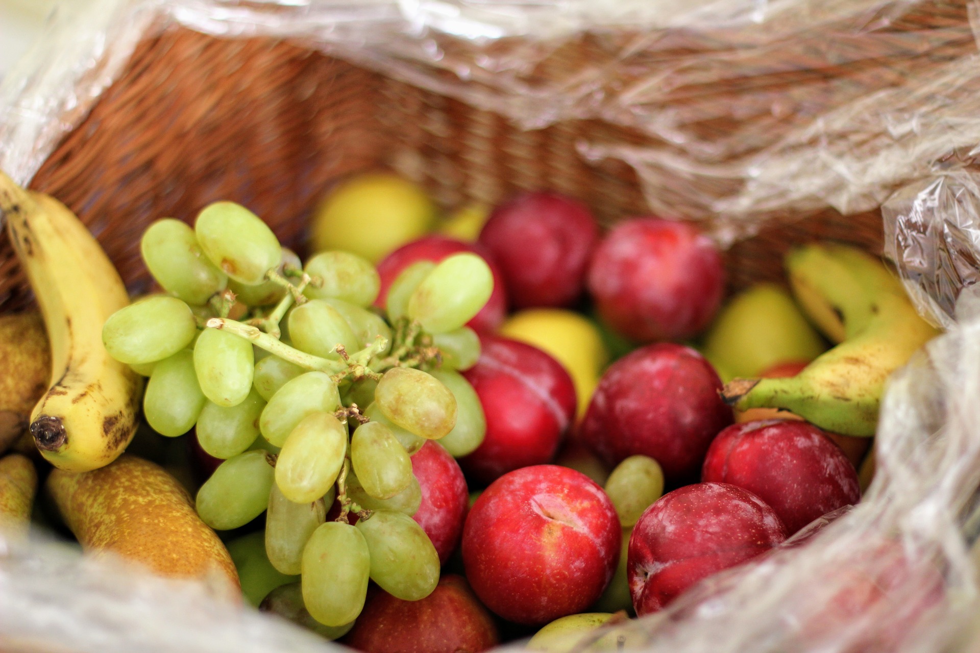 Family Fruit Basket (Up to 4)