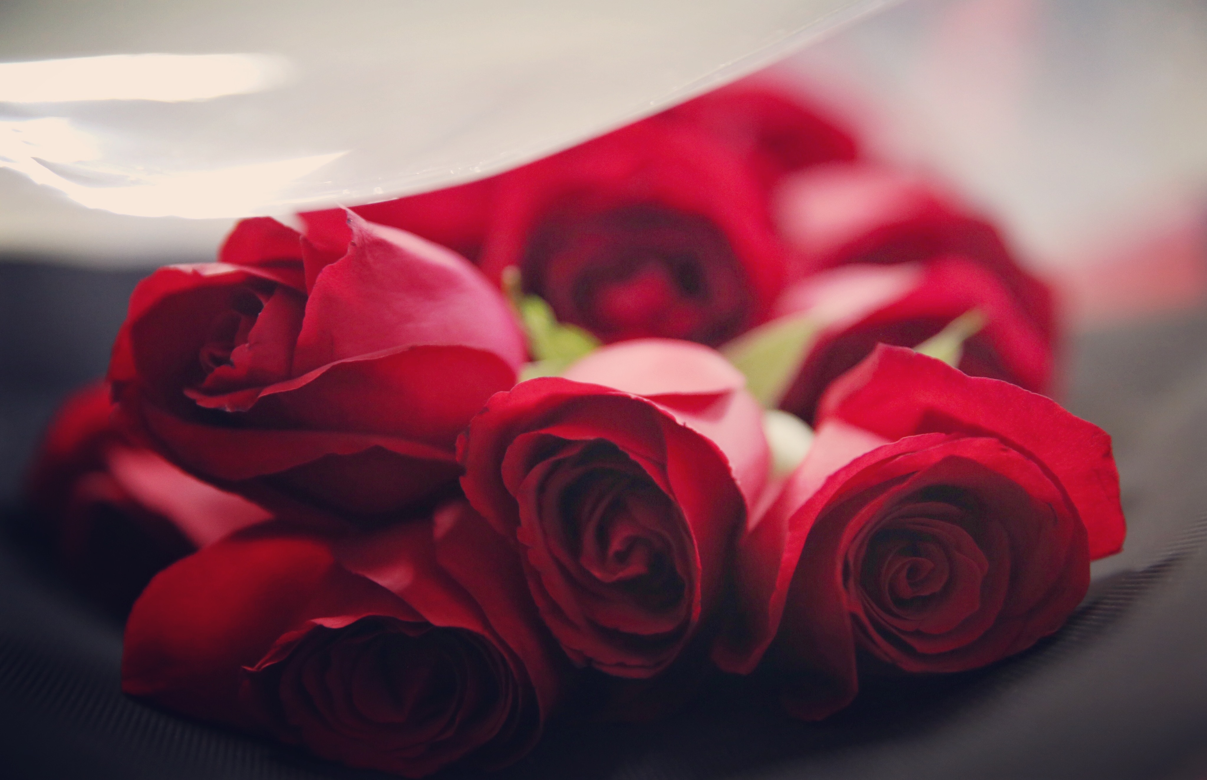 12 Red Roses