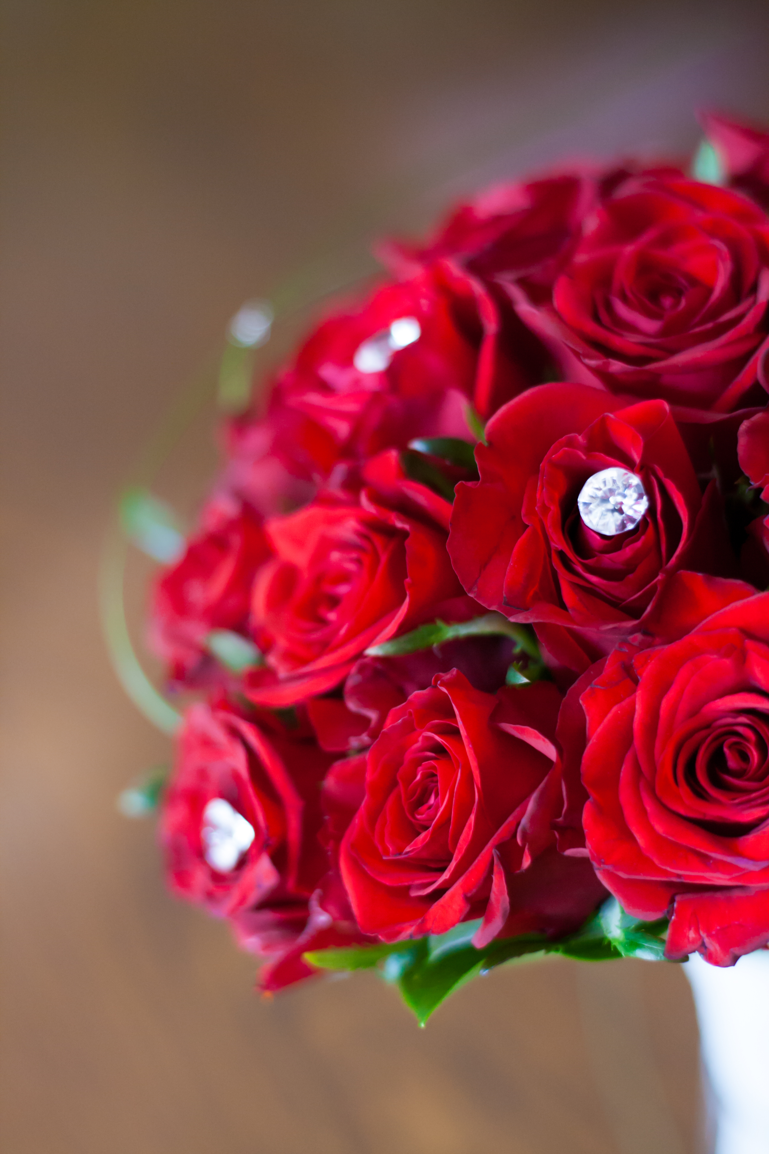 12 Red Roses Bouquet