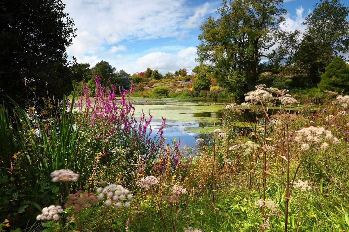 The National Botanical Garden of Wales