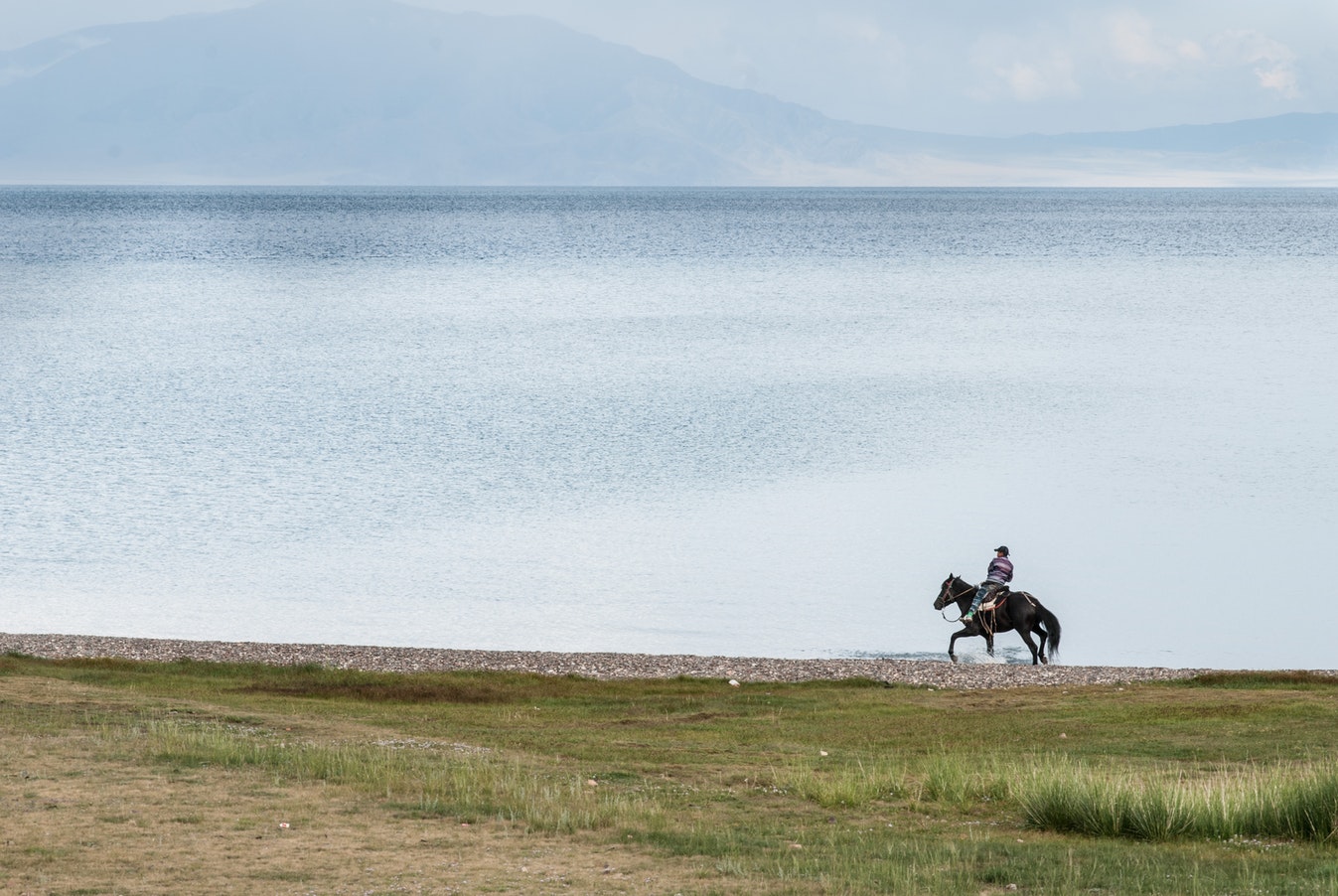 Horse Riding Treks (Pendine)