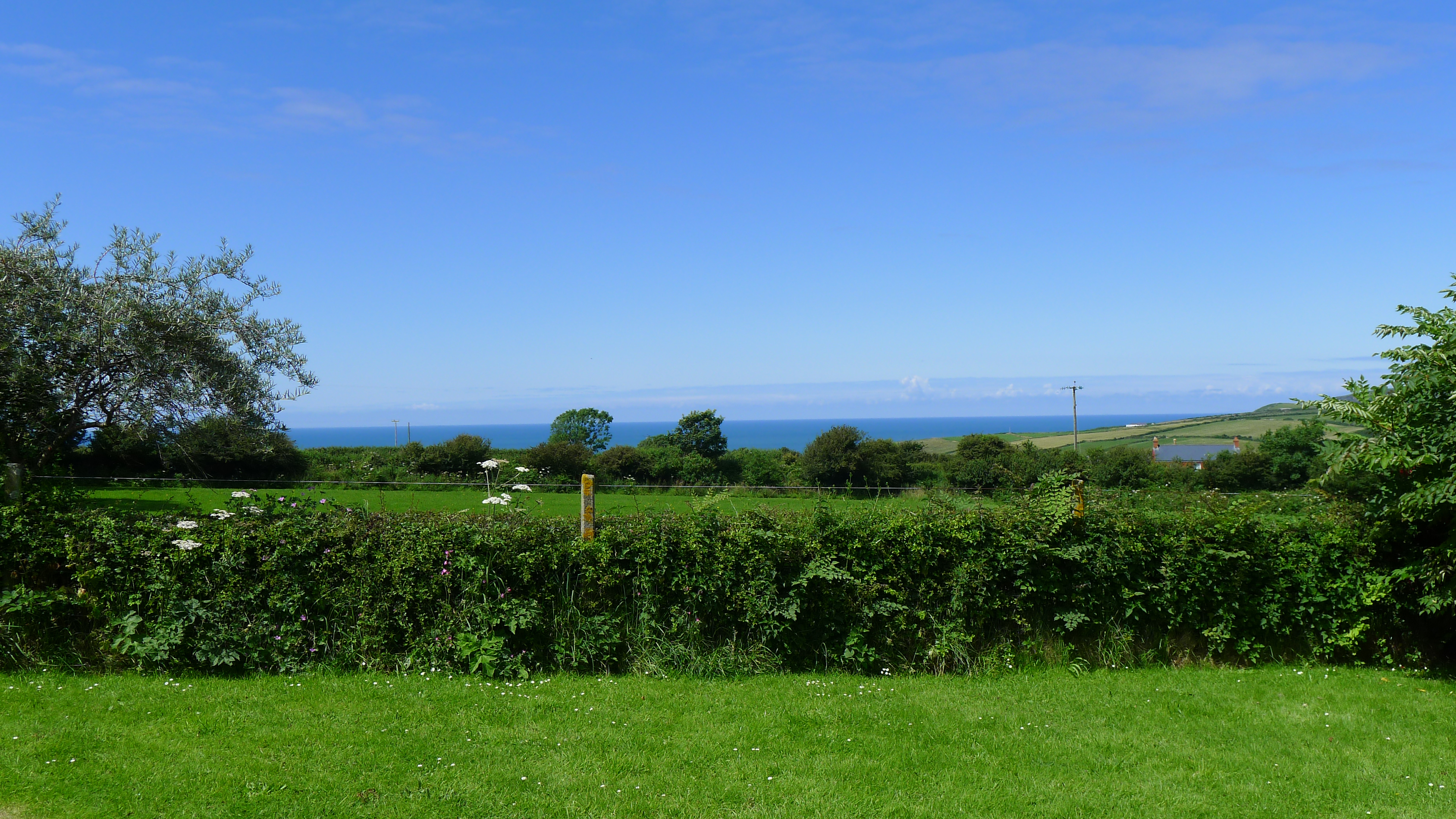 Moylegrove