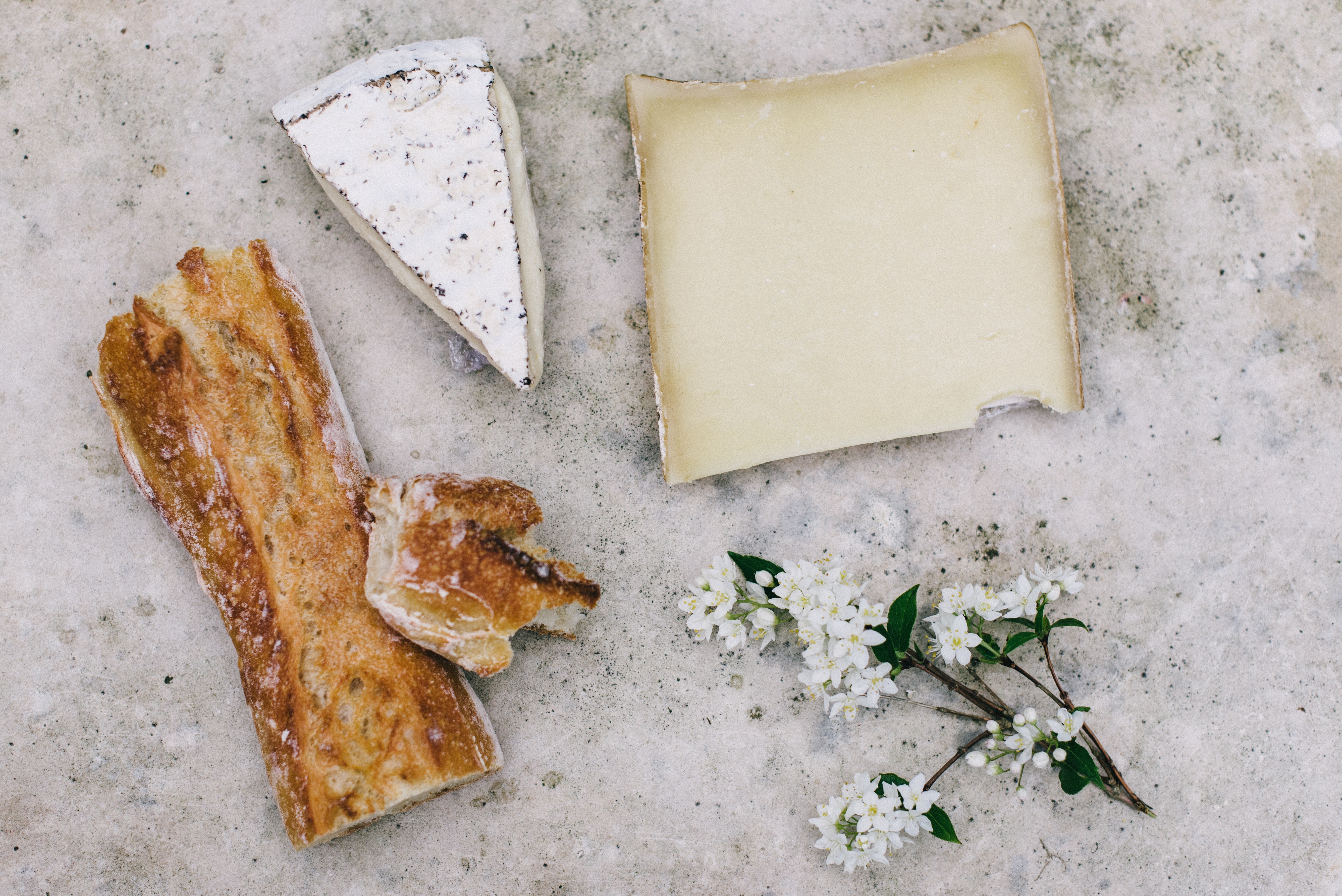 Welsh Camembert cheese with sourdough bread