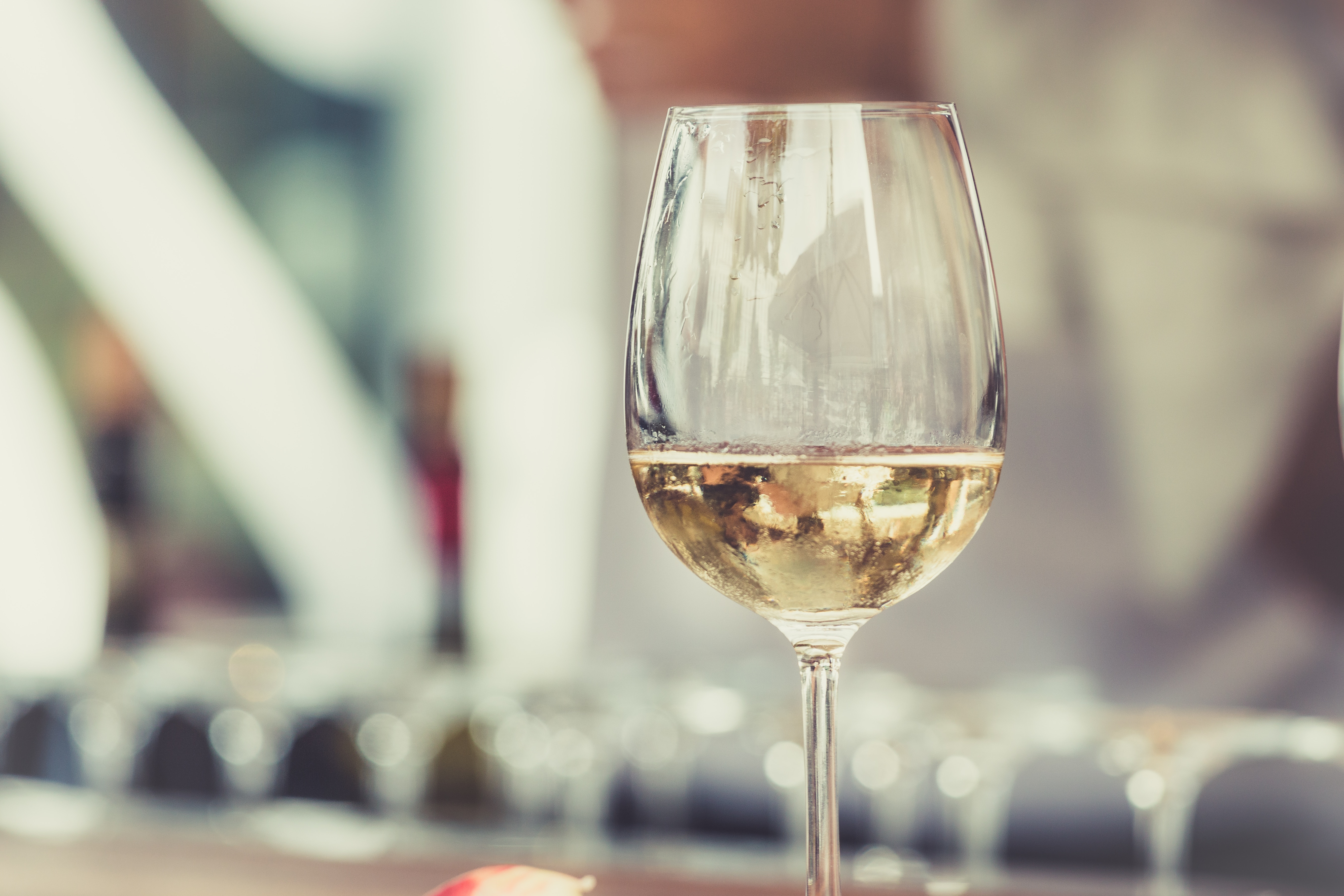 Cava Freixenet Champagne in a glass