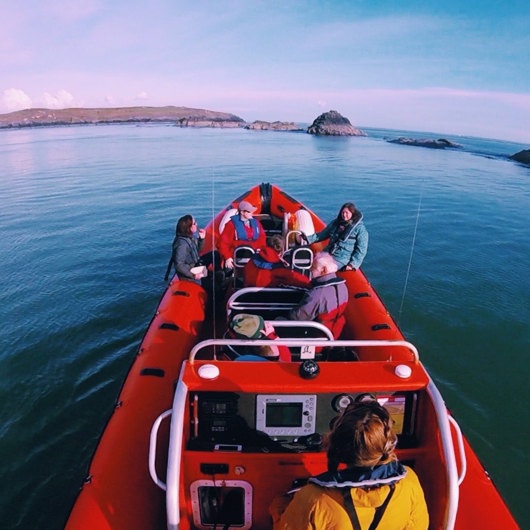 People on a Pembrokeshire boat trip