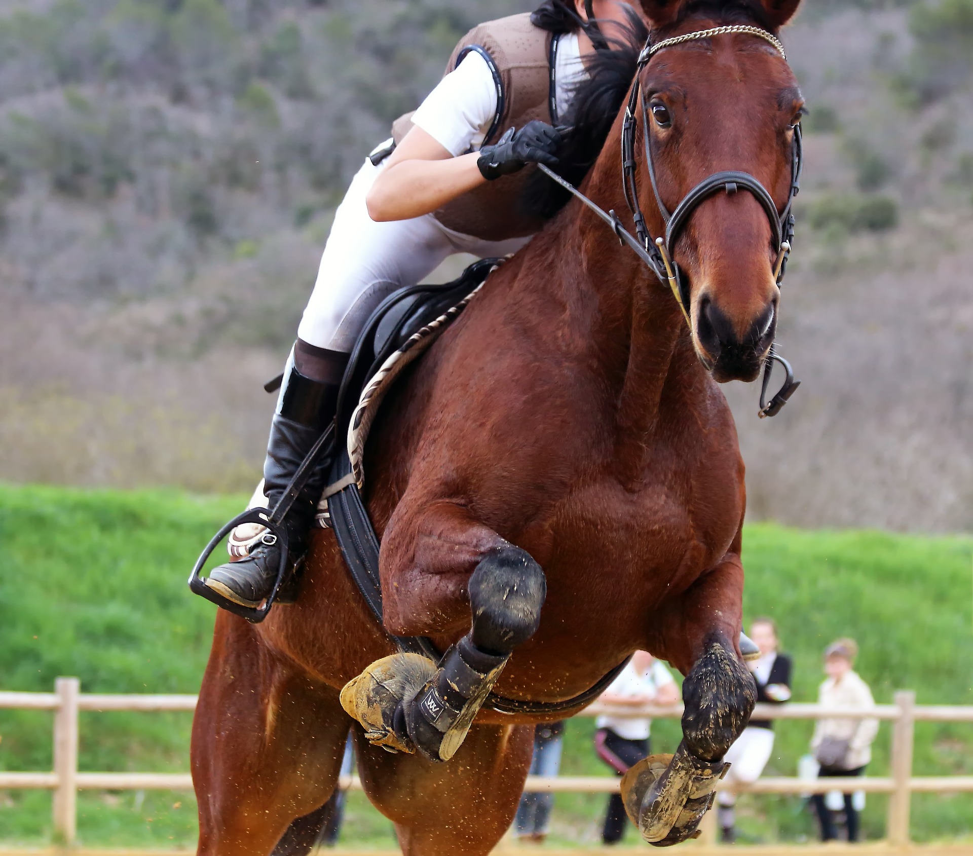 Horse Riding at Pembrokeshire County Show