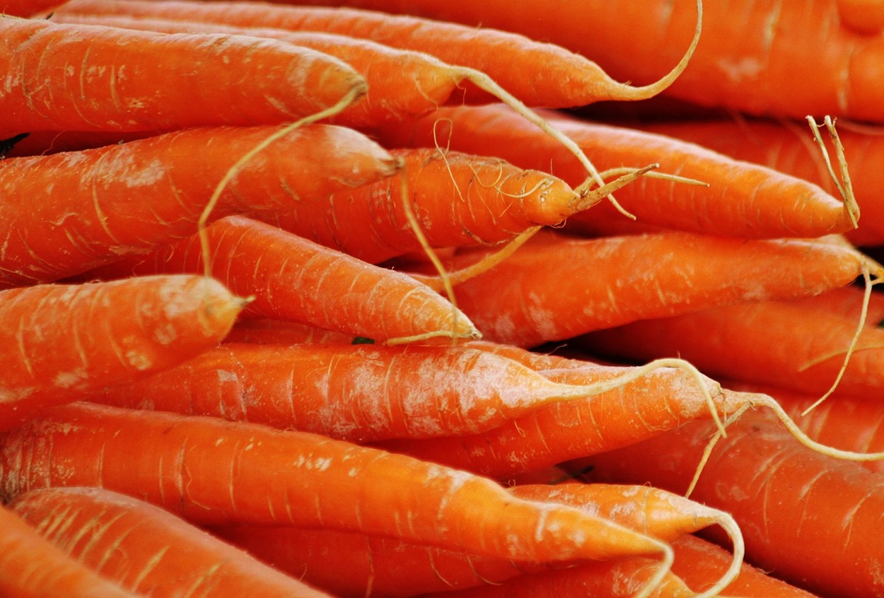 Local Pembrokeshire Carrots