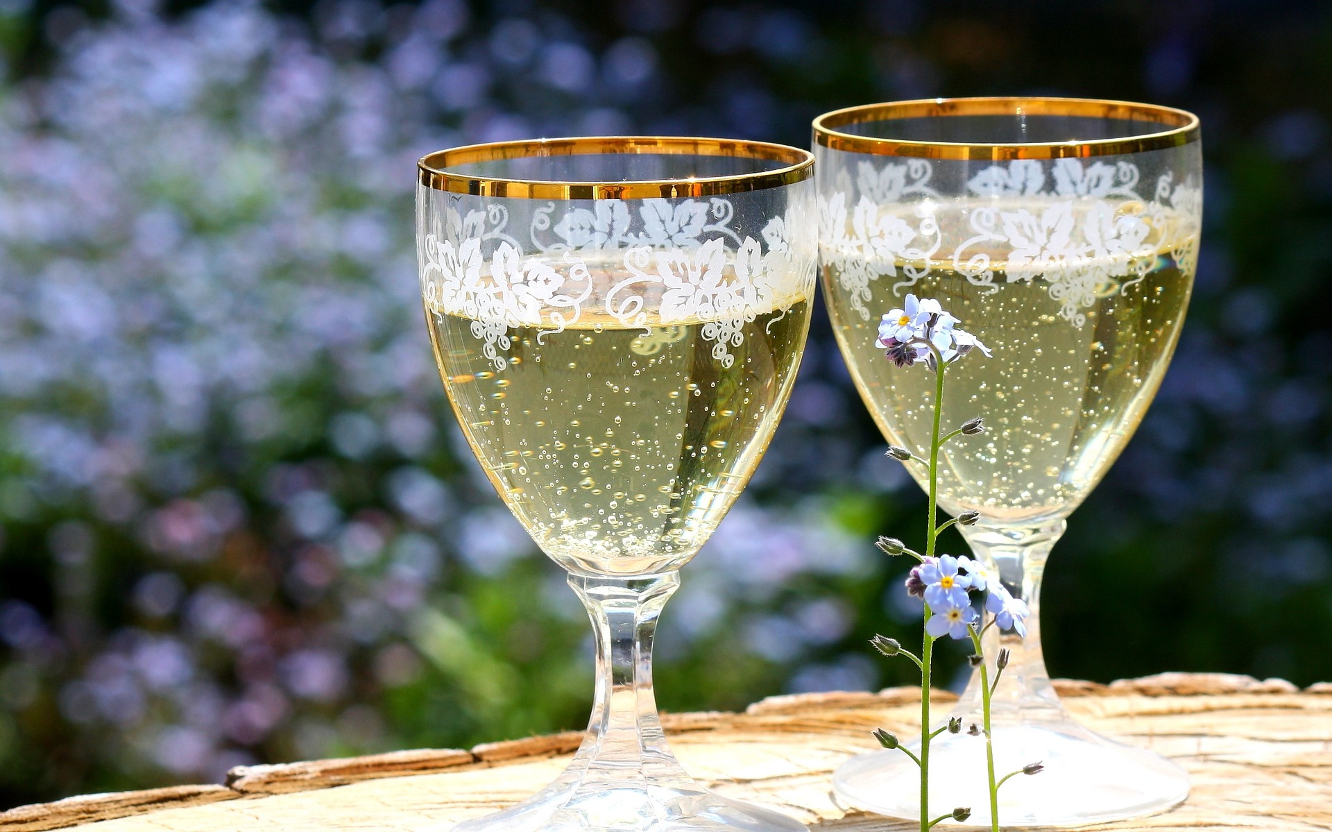 Coastal Cottages Concierge - Cava Freixenet