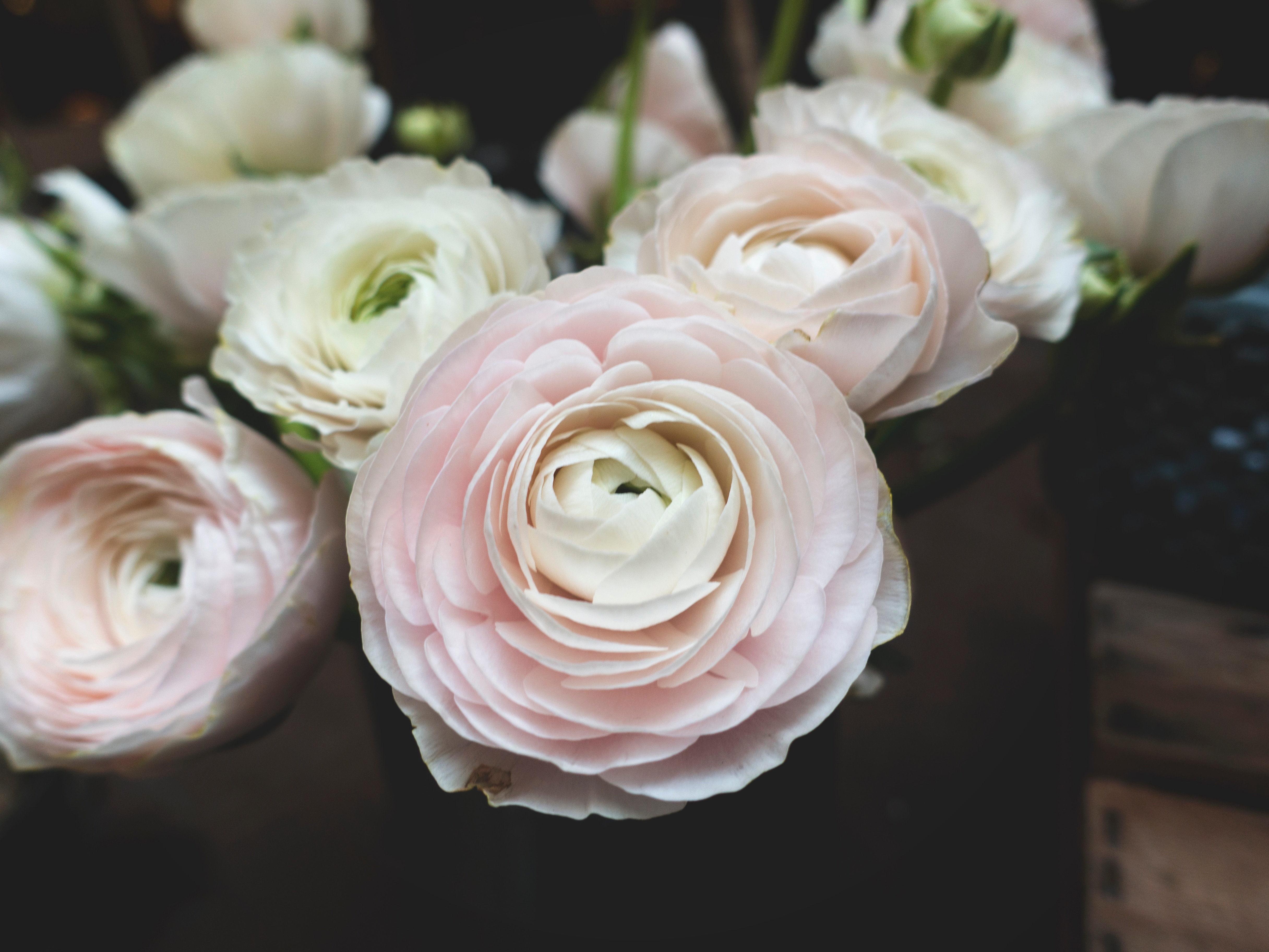Country Garden Bouquet