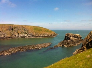 Cardigan Island Coastal Farm Park