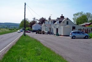 The Bush Inn