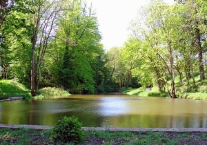 Slebech Park Restaurant