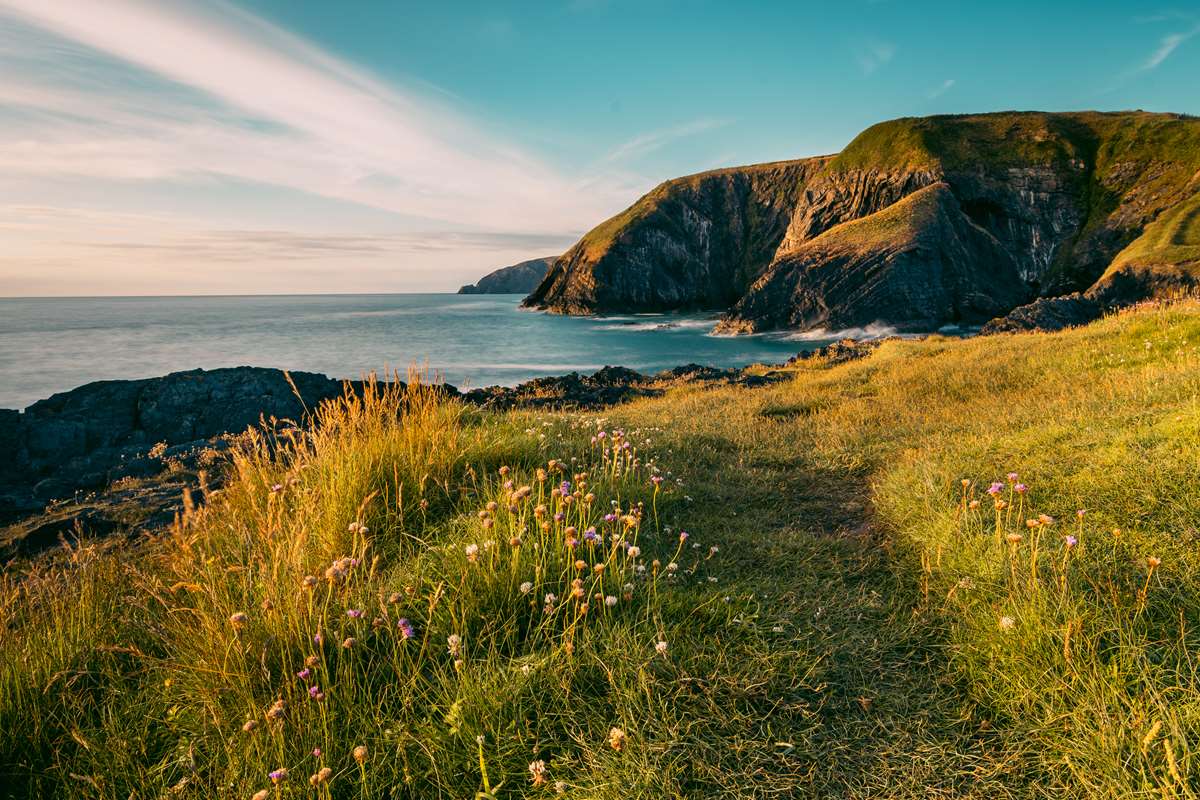 Guided Walks in Pembrokeshire