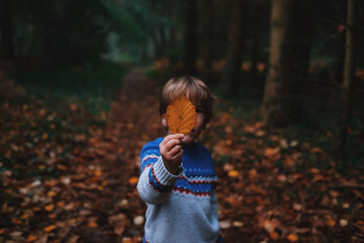 Child in Autumn holding a leaf