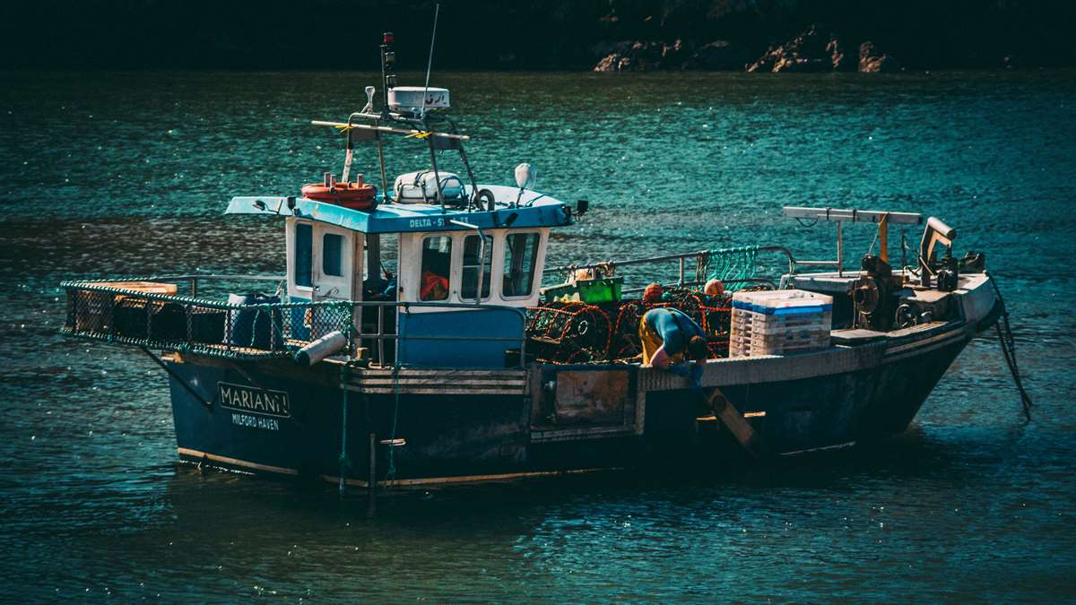 Buy fresh seafood in Pembrokeshire