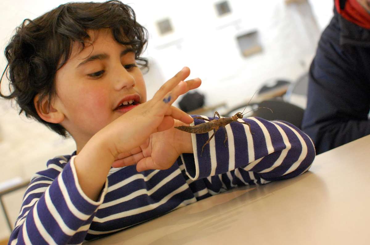 Dr Beynon's Bug Farm Pembrokeshire