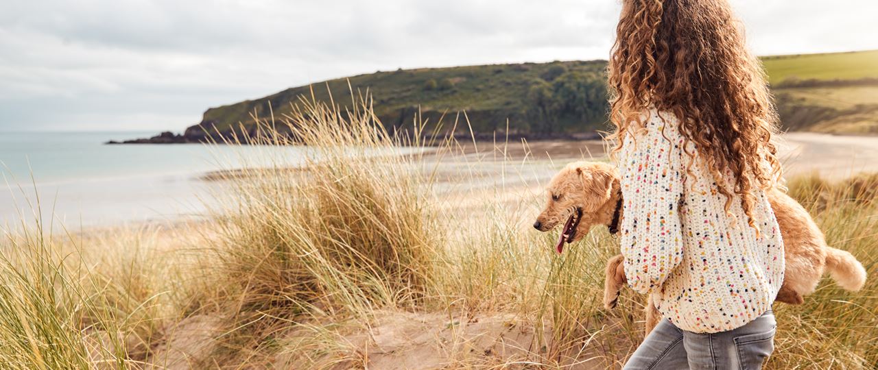 Our Top 5 Woof Friendly Beaches and Pubs