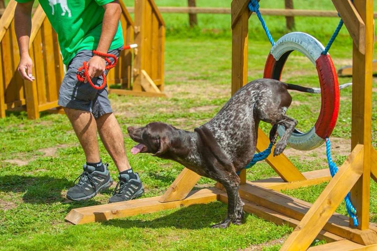 Enjoy Heatherton with your dog