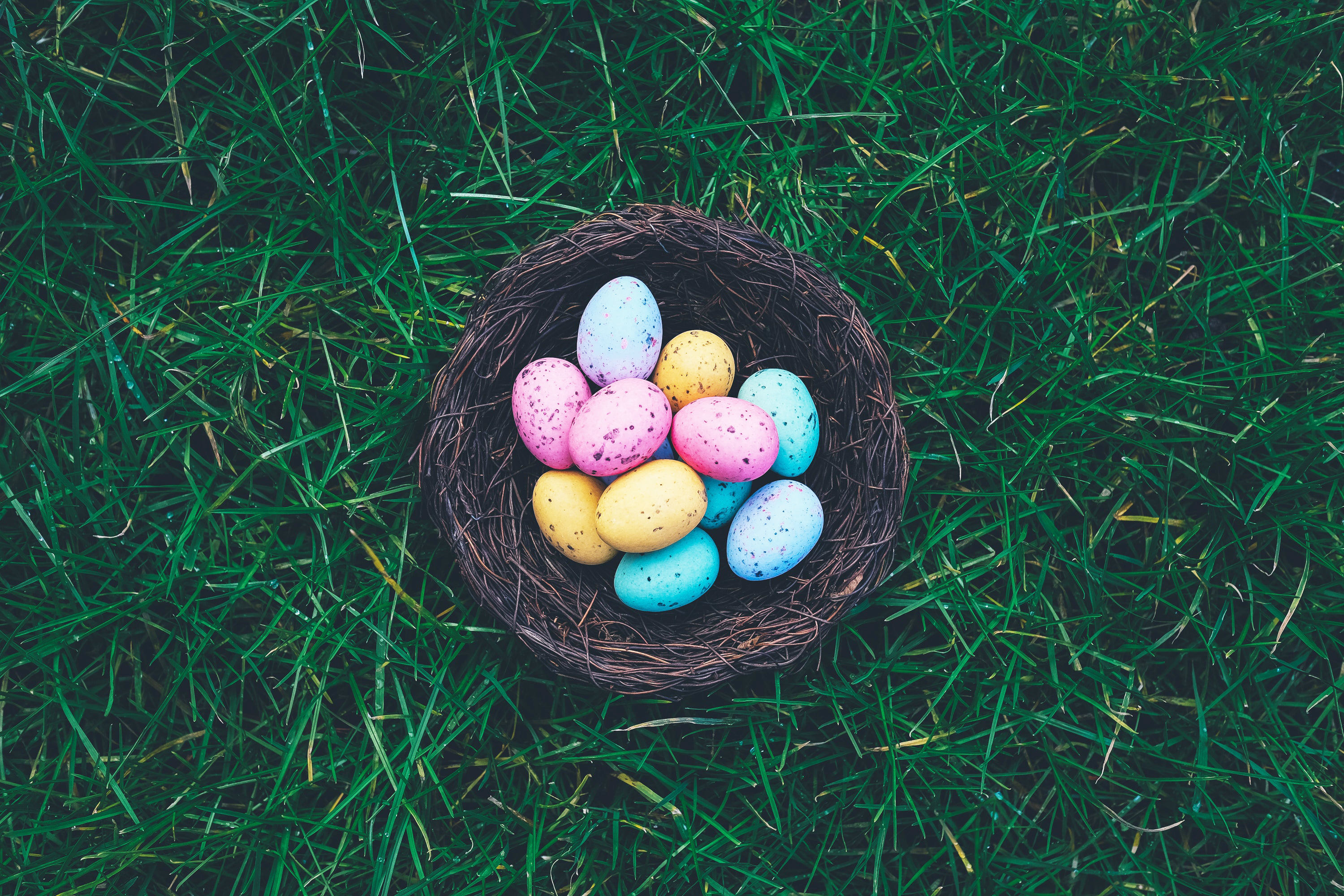 Luxury Easter Picnic Basket