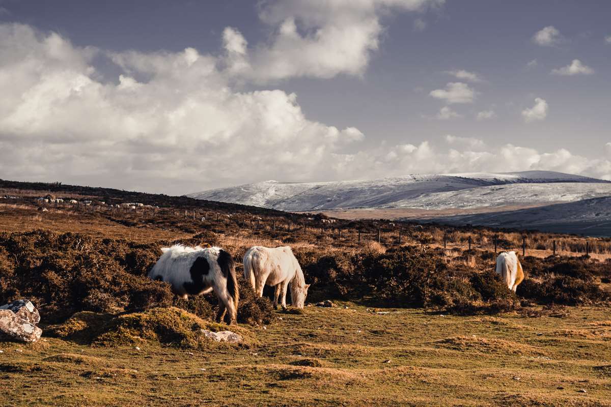 The Preseli Hills from Carn Ingli