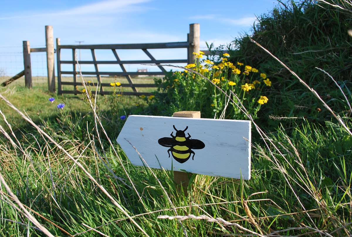 Bug Trail at Dr Beynon's Bug Farm Pembrokeshire