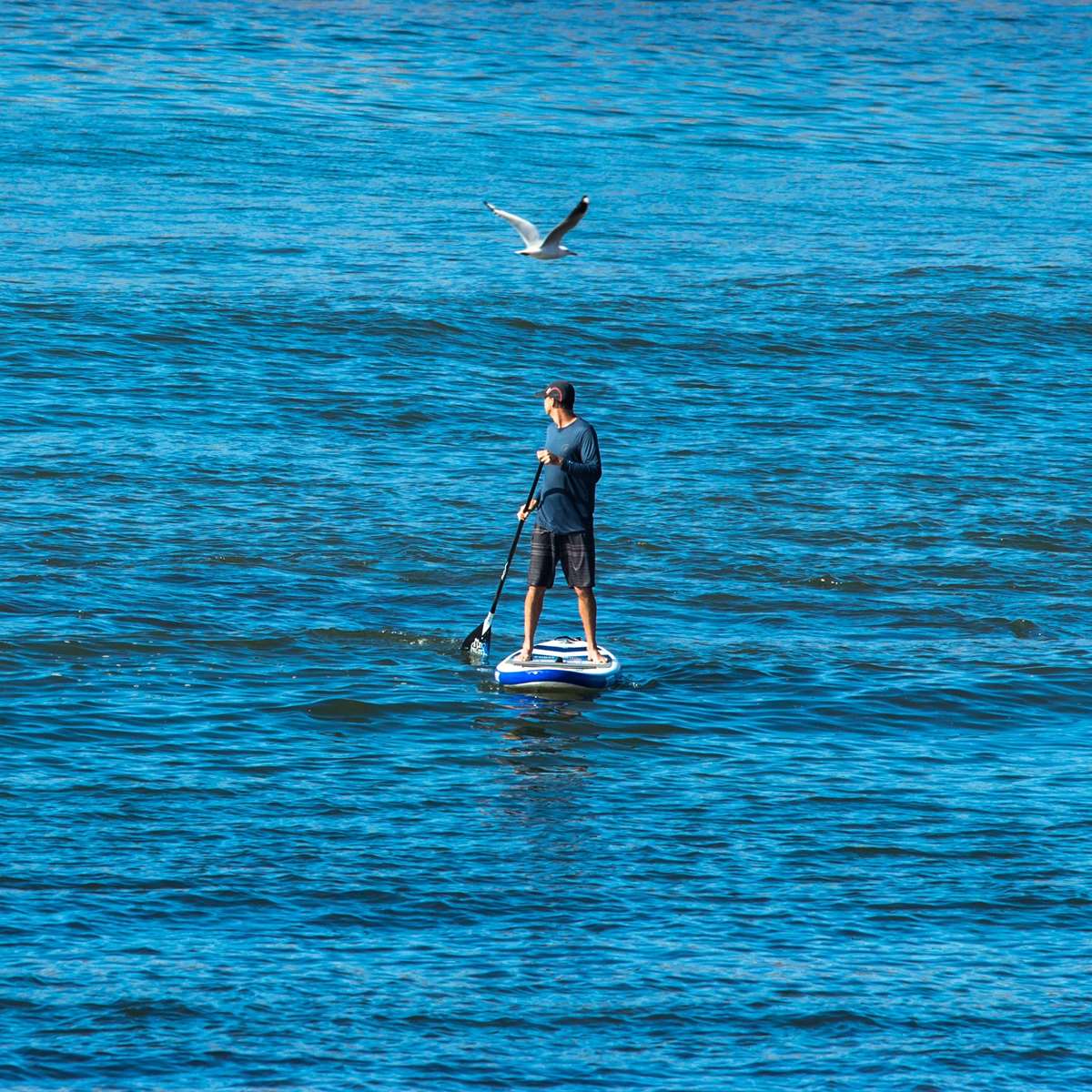 Paddleboarding Pembrokeshire