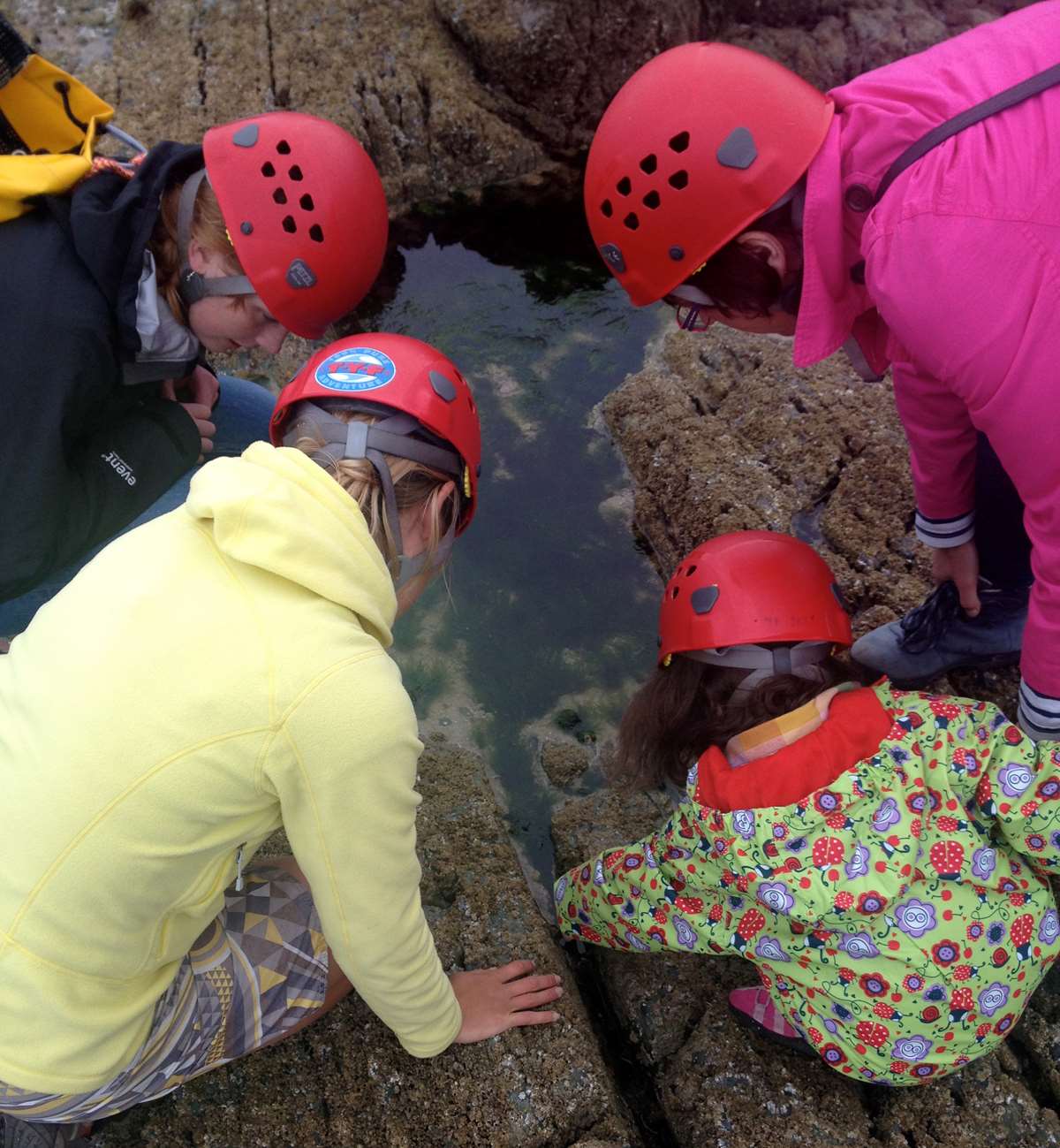 Children Rockpooling with TYF Advneture St Davids