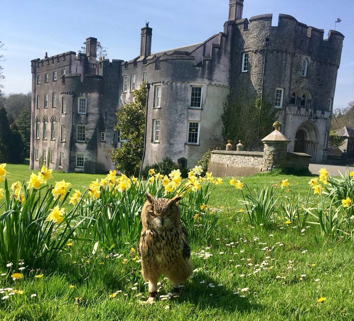 Explore Picton Castle with your dog in Pembrokeshire