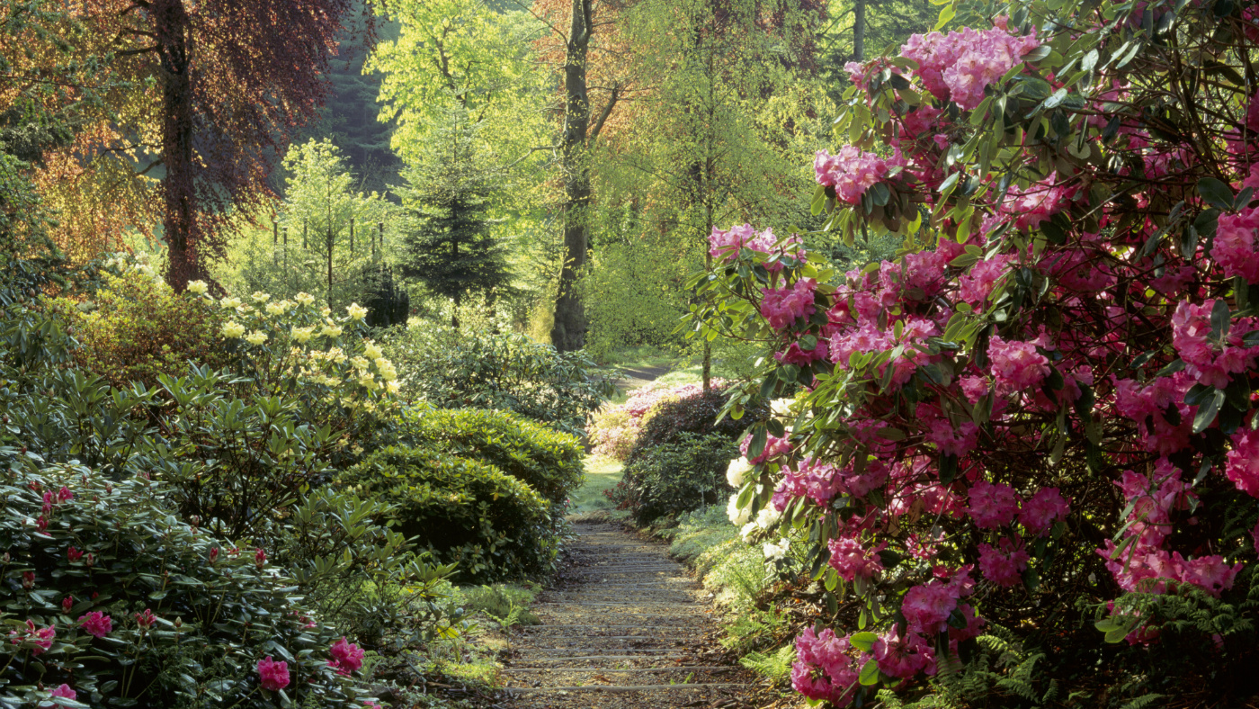 Colby Woodland Garden