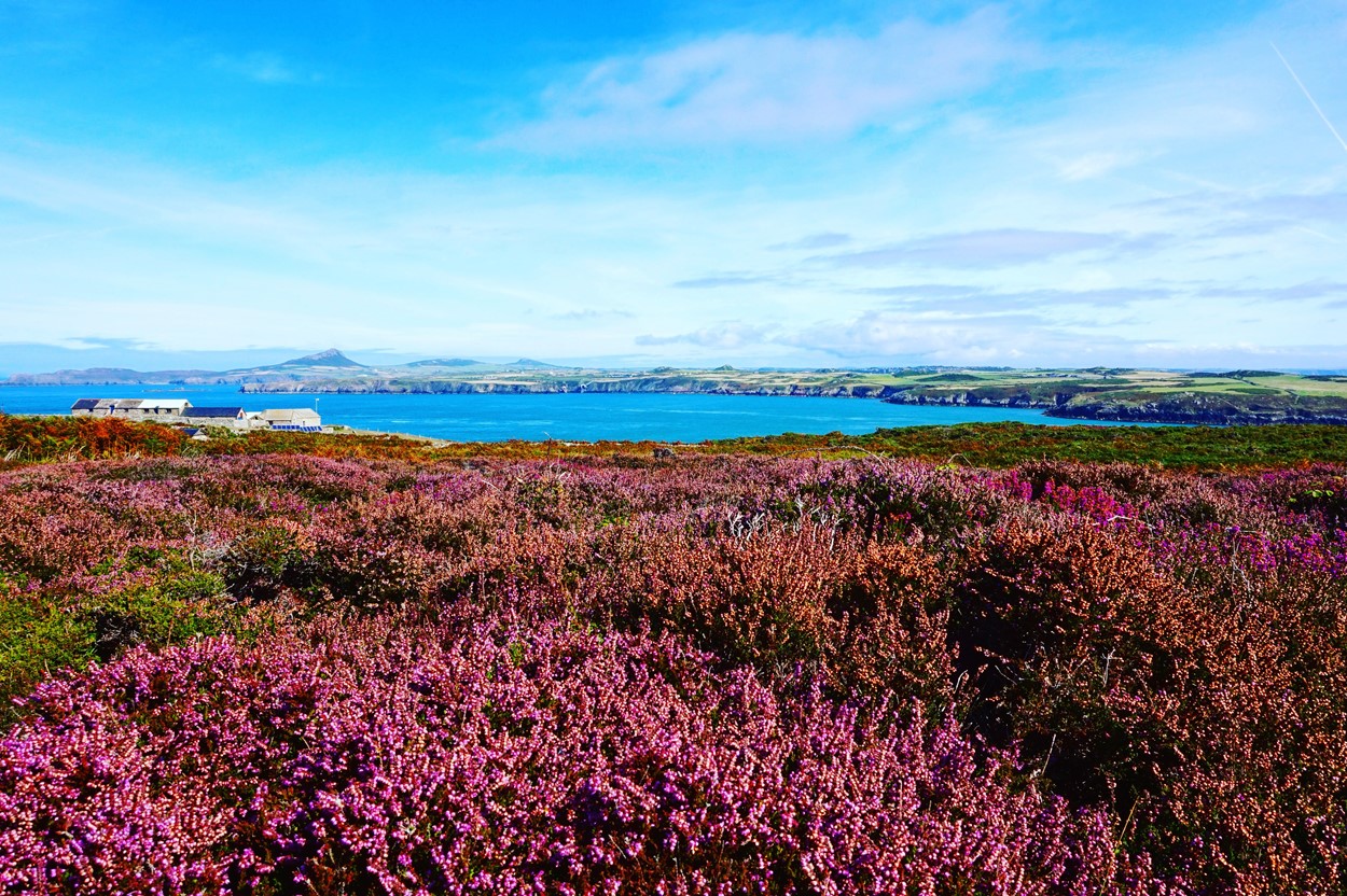 A view of Whitesdands from Ramsey Island