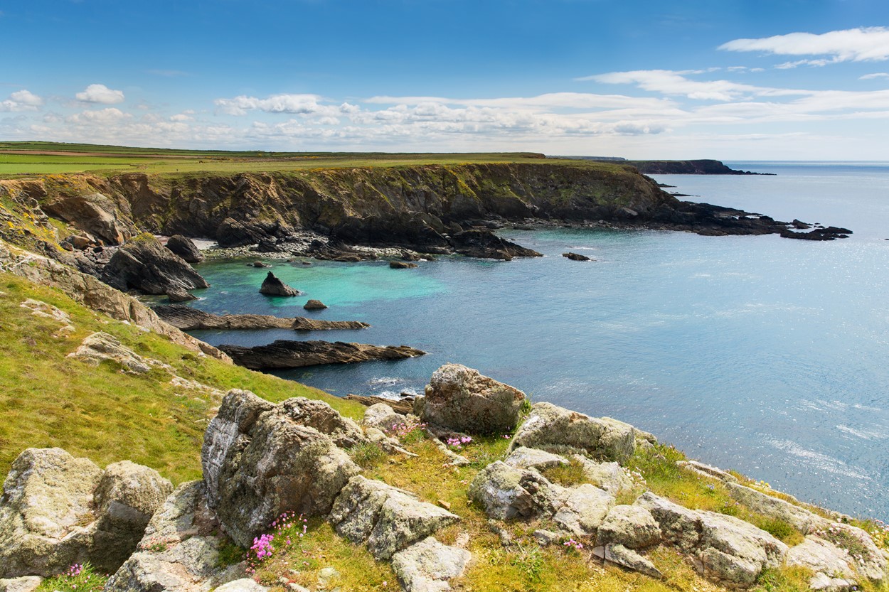 The Pembrokeshire Coast nearby to Felin Fach