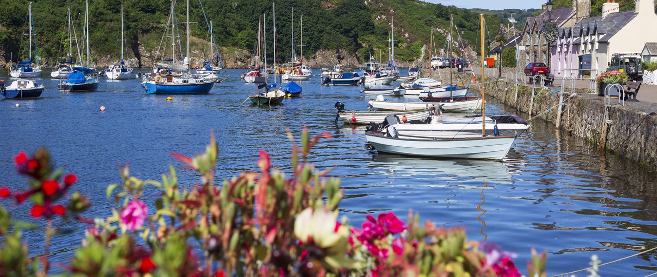 Holiday Cottages in Fishguard & Goodwick