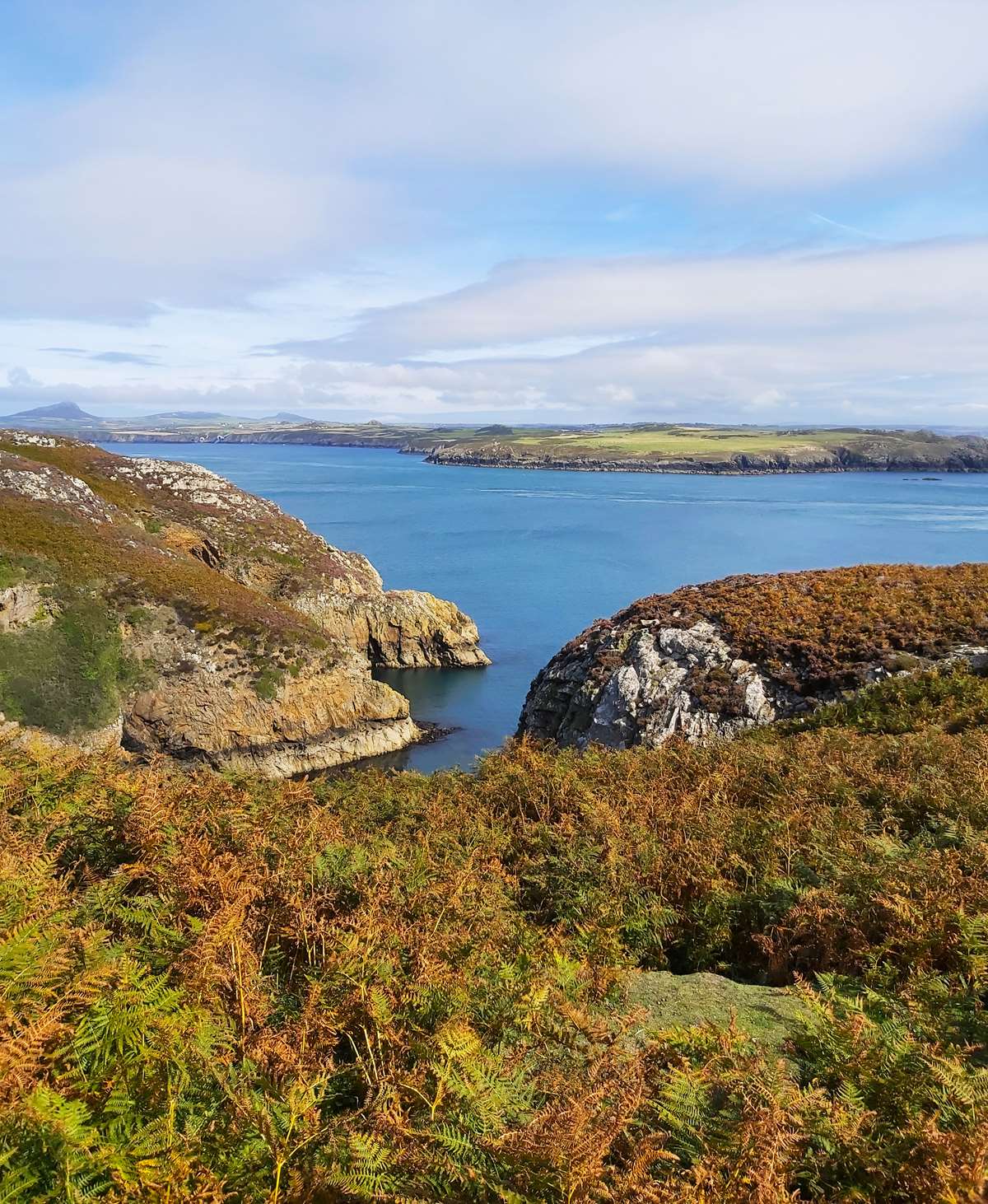 View towards St Savids from Ramsey Island Pembrokeshire