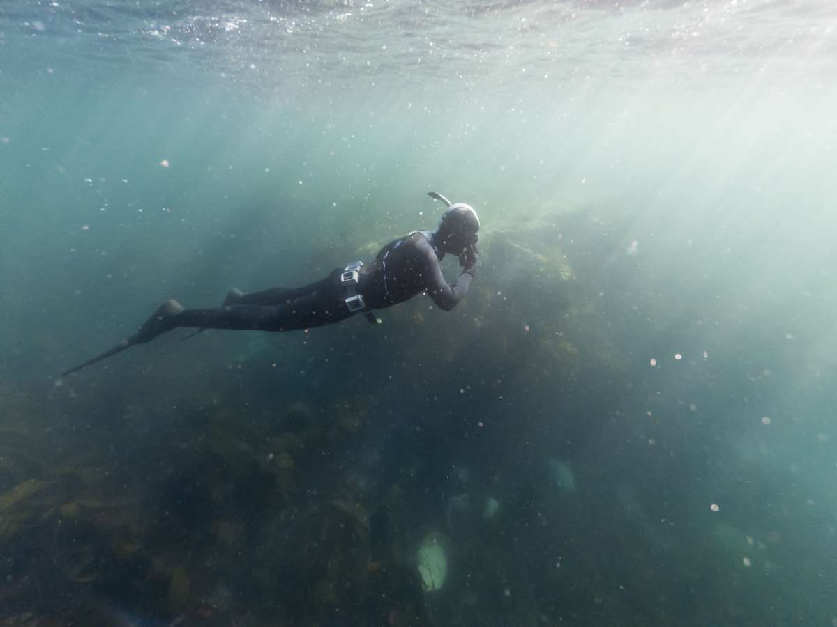Diver in sea