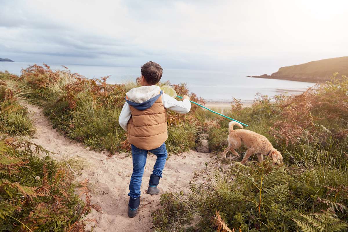 October cottages are perfect dog friendly escapes