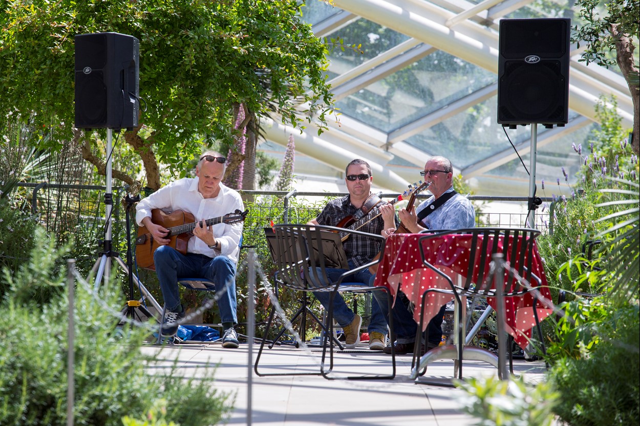 Live music at the National Botanic Garden of Wales, near Pembrokeshire