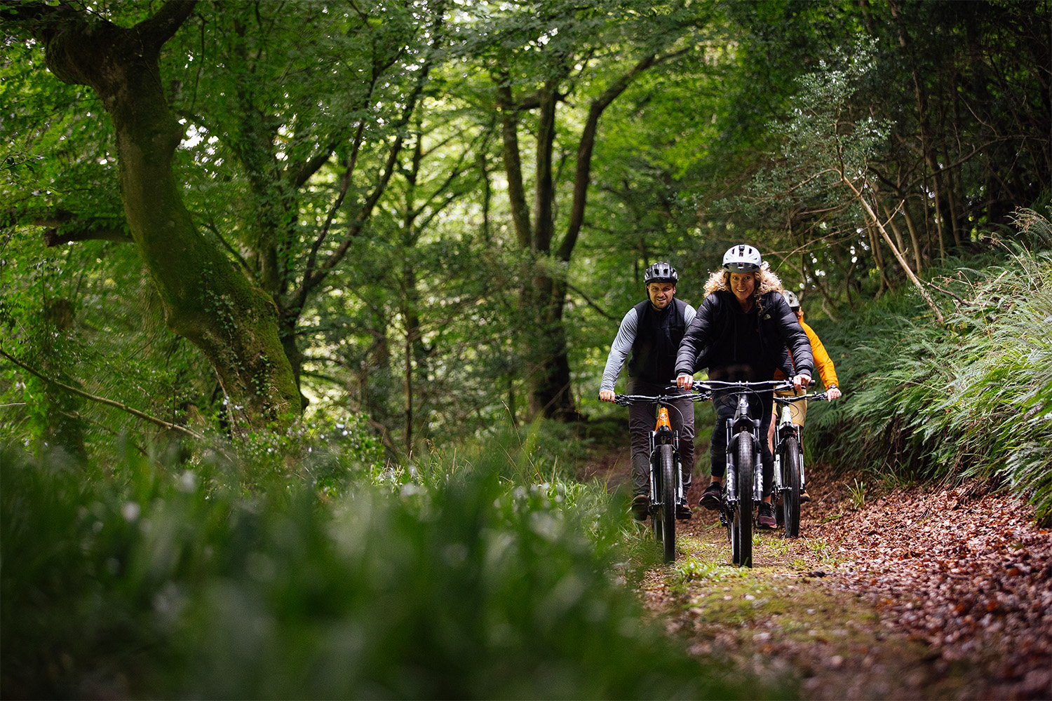 Electric Mountain Bike Guided Tours