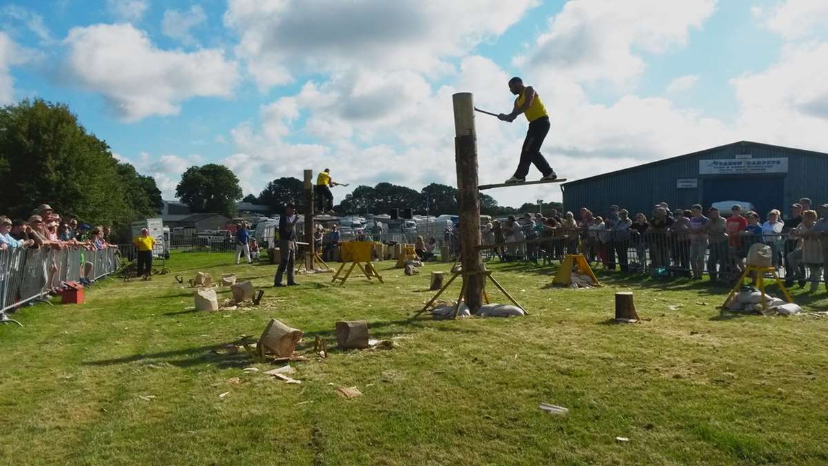 Wood Chopping at Pembrokeshire County Show