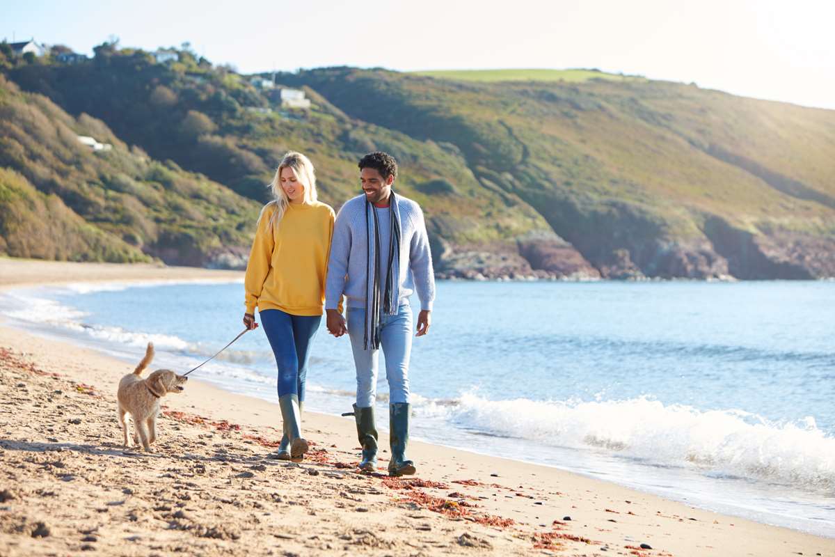 Accept pets to boost bookings