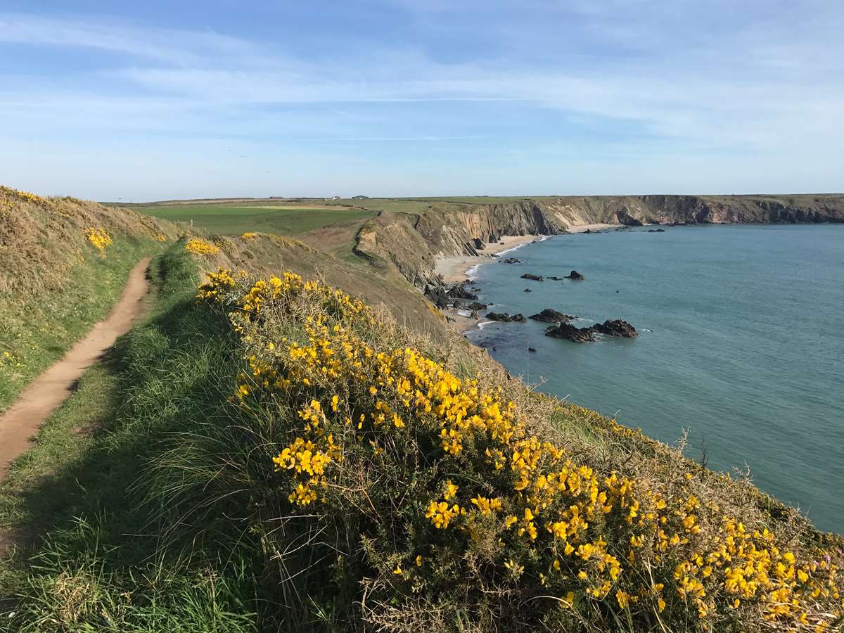 Marloes Beach and Coastal Path Pembrokeshire