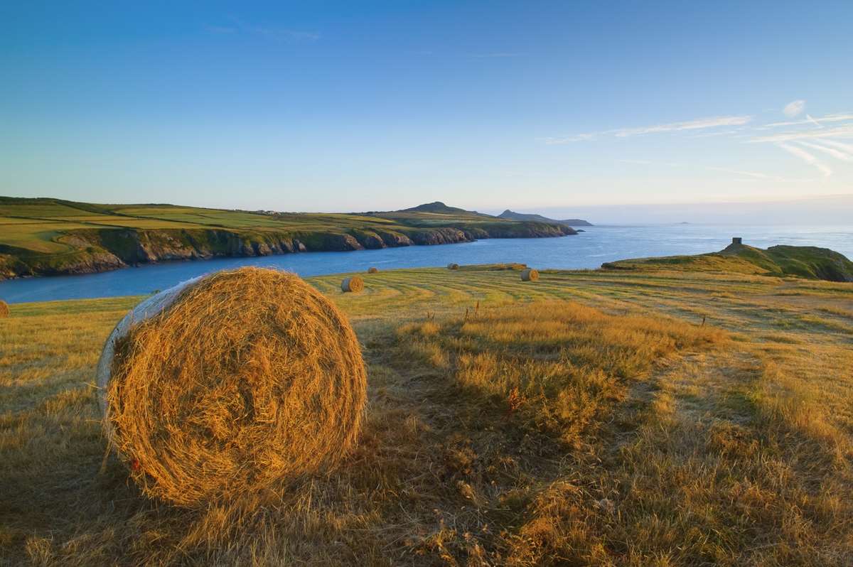 Coastal Cottages of Pembrokeshire - A View of the Pembrokeshire Coast Path