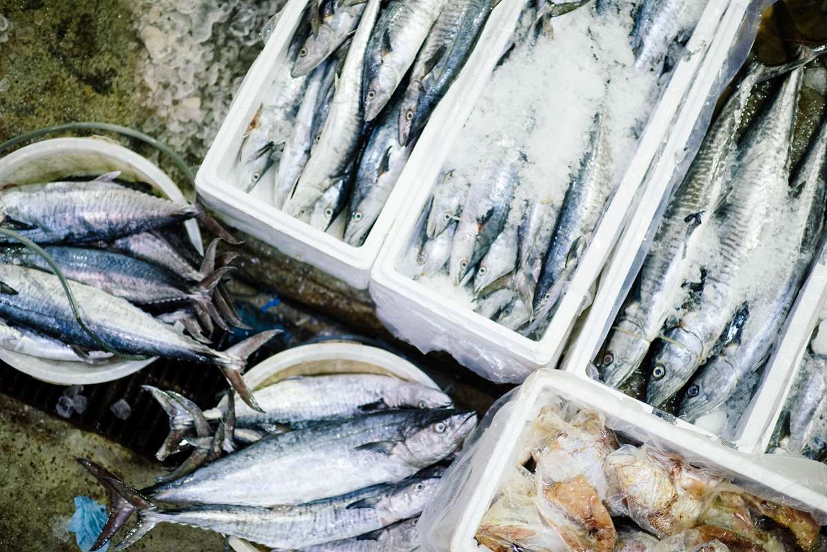 Fresh seafood in Pembrokeshire