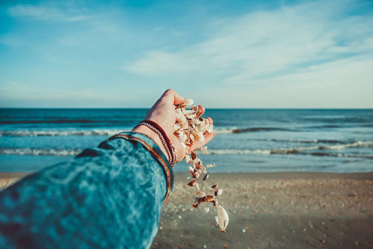 Shells being scattered on a Pembrokeshire beach